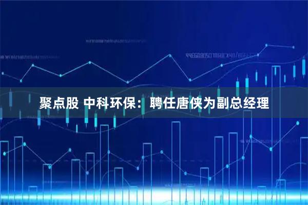 聚点股 中科环保：聘任唐侠为副总经理