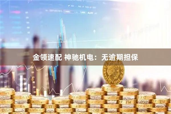 金领速配 神驰机电：无逾期担保