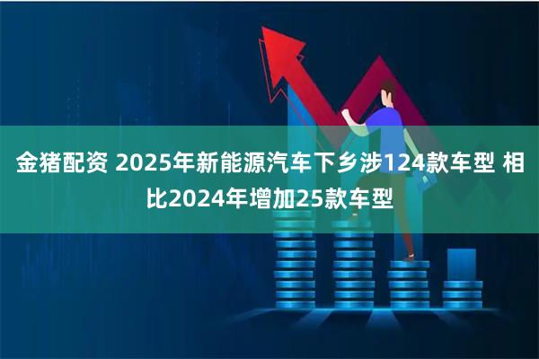金猪配资 2025年新能源汽车下乡涉124款车型 相比2024年增加25款车型