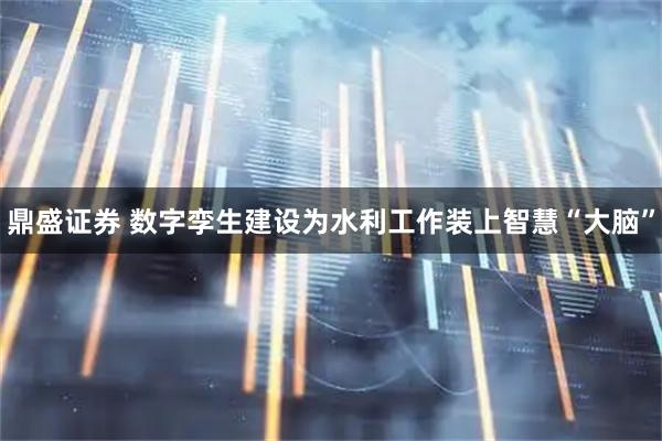 鼎盛证券 数字孪生建设为水利工作装上智慧“大脑”