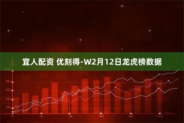 宜人配资 优刻得-W2月12日龙虎榜数据